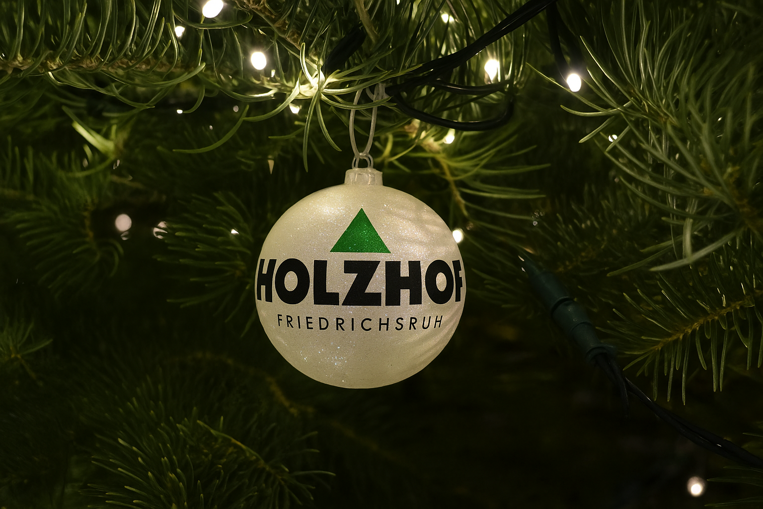 2025_Weihnachten_Holzhof_Friedrichsruh.png