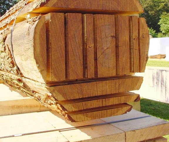 Baumstamm mit den begonnenen Zuschnitten der Schnittholzware